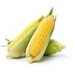 Sementes De Milho-doce Super Tipo Havaí Doce 1kg