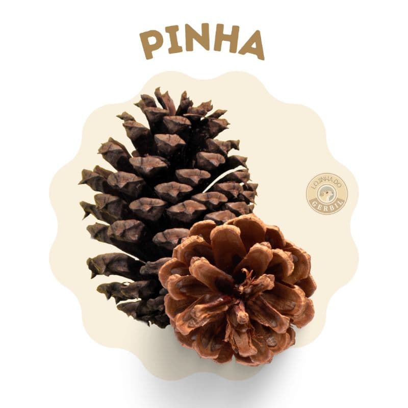 Pinhas para desgaste dos dentes de Gerbil, Hamster, Twisters, Chinchila, PDI, coelho, Topolinos, Topodongos.