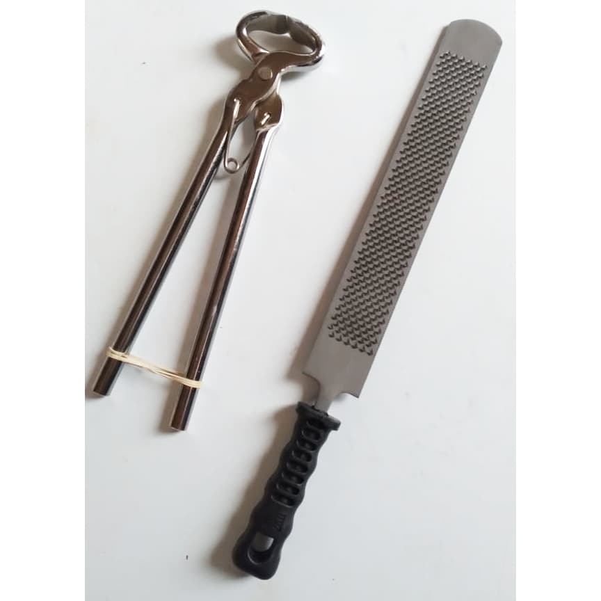 Kit Grosa Lima Torquesa Torques Para Cavalo