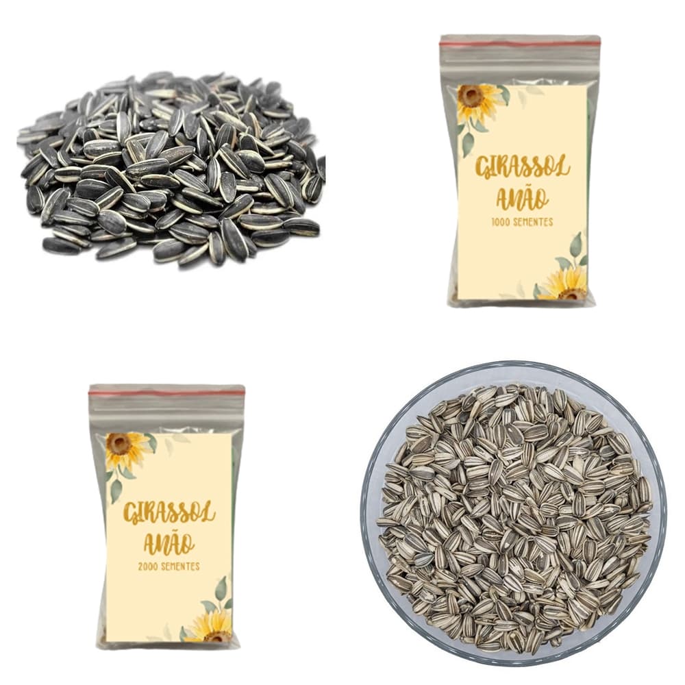 Sementes de Girassol Anão - Escolha a quantidade!
