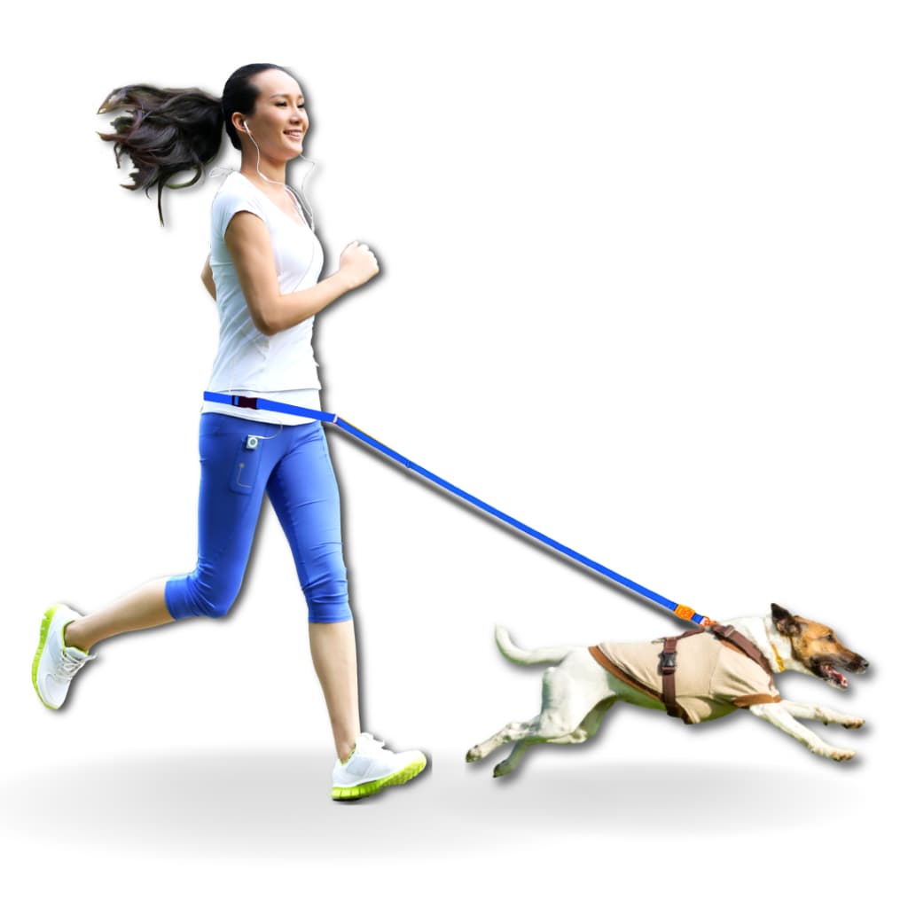 Guia Regulável Para Passear E Correr Com Seu Cachorro - Mãos livres (Inter Pets)