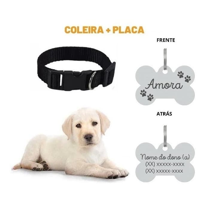 Coleira Placa de Identificação Pet Plaquinha Pingente Personalizada Cachorro e Gato
