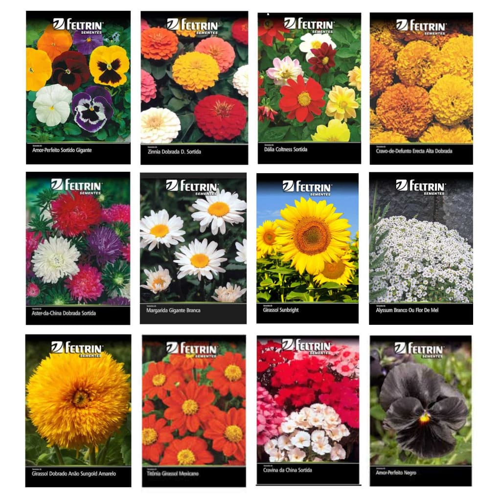 Kit 10 Sementes de flores flor variadas Feltrin