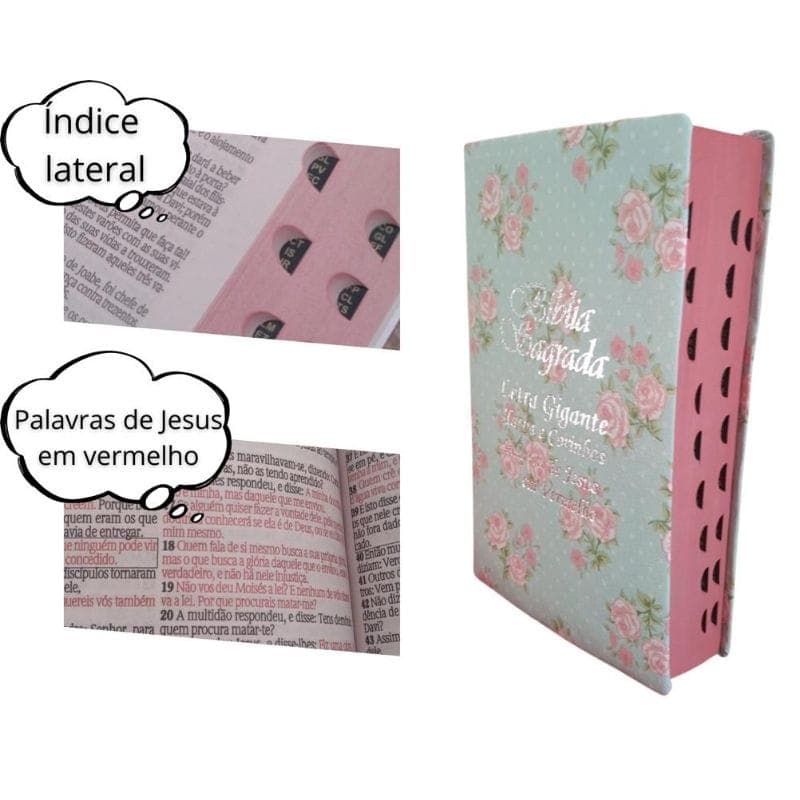 Biblia Sagrada  Tamanho Grande Com Harpa  Feminina Masculina Palavras De Jesus Em Vermelho