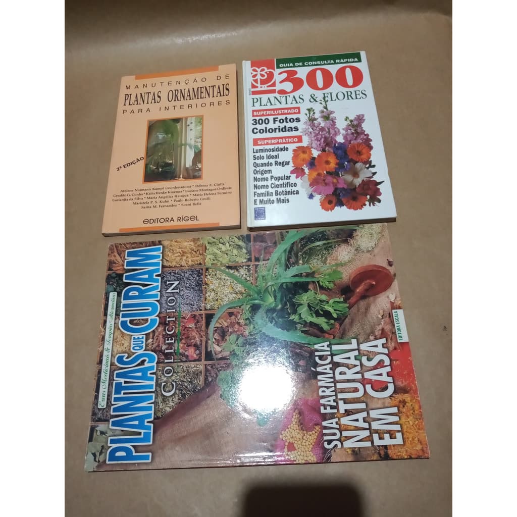 Pequenos Guia Jardim Casa Plantas Curam Ornamentais Samambaias - George Seddon Lisa