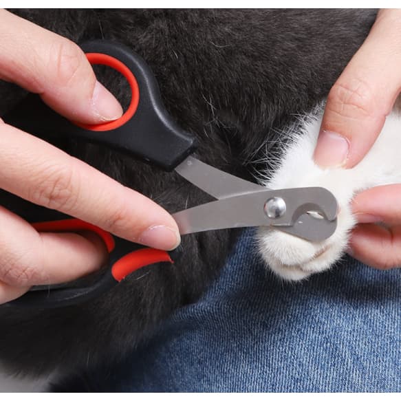 3 Pcs Maquina Para Tosar Tesoura De Unhas Inox Profissional  Para Cachorros Pets Promoção