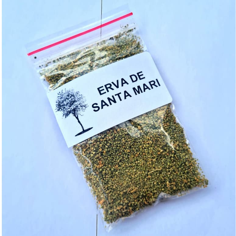 500 Sementes - Mastruz - Santa Maria - Chenopodium ambrosioides  L.