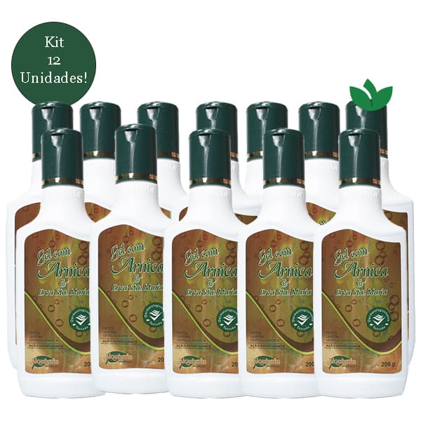 Kit Com 12 Unidades Gel Com Arnica e Erva Santa Maria 200g Alquimia Cosméticos