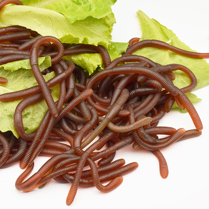 Kit 2 Minhocas Falsas Pegadinha Brincadeira Simulação 16cm
