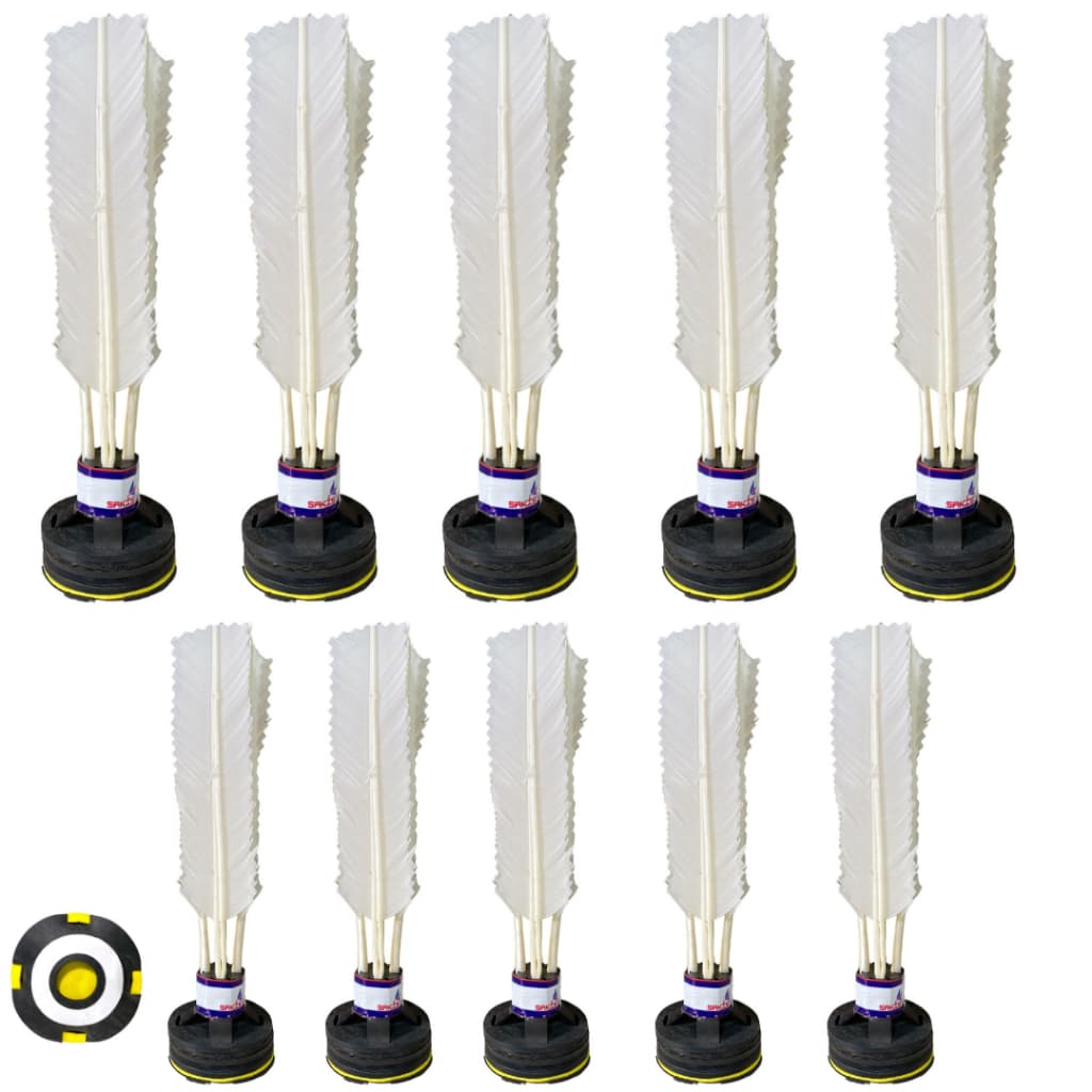 Kit Peteca 1, 3, 5 e 10 un Oficial Refletiva Tradicional Super Profissional Sakisteca Nova Peteca p/ jogos noturnos