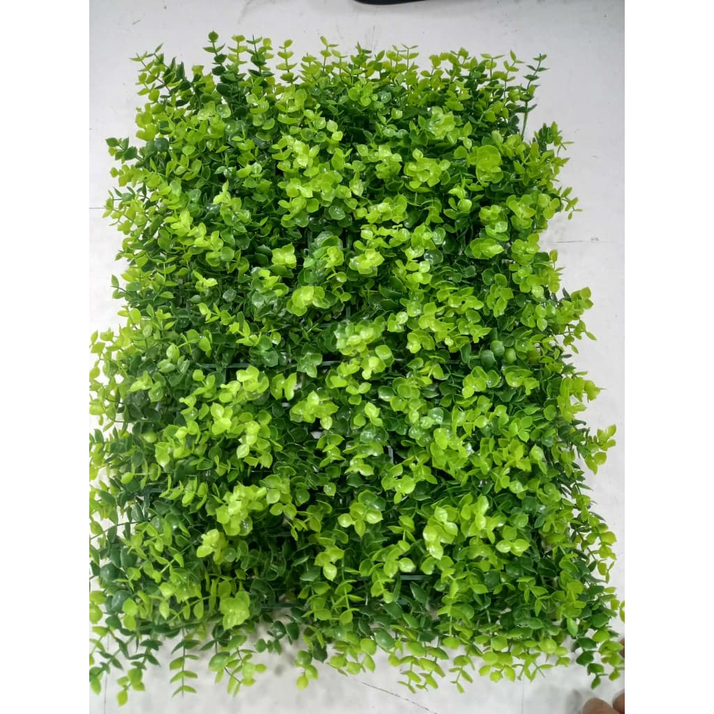 Placa de samambaia/Eucalipto40x30cm