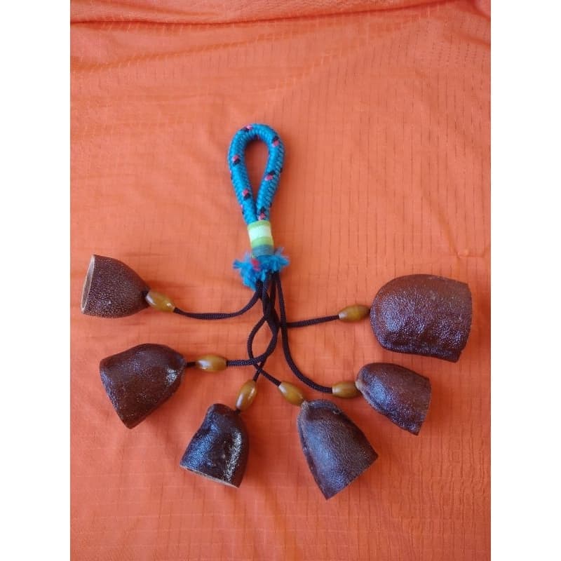 Molho de jatobá no cordão cada.