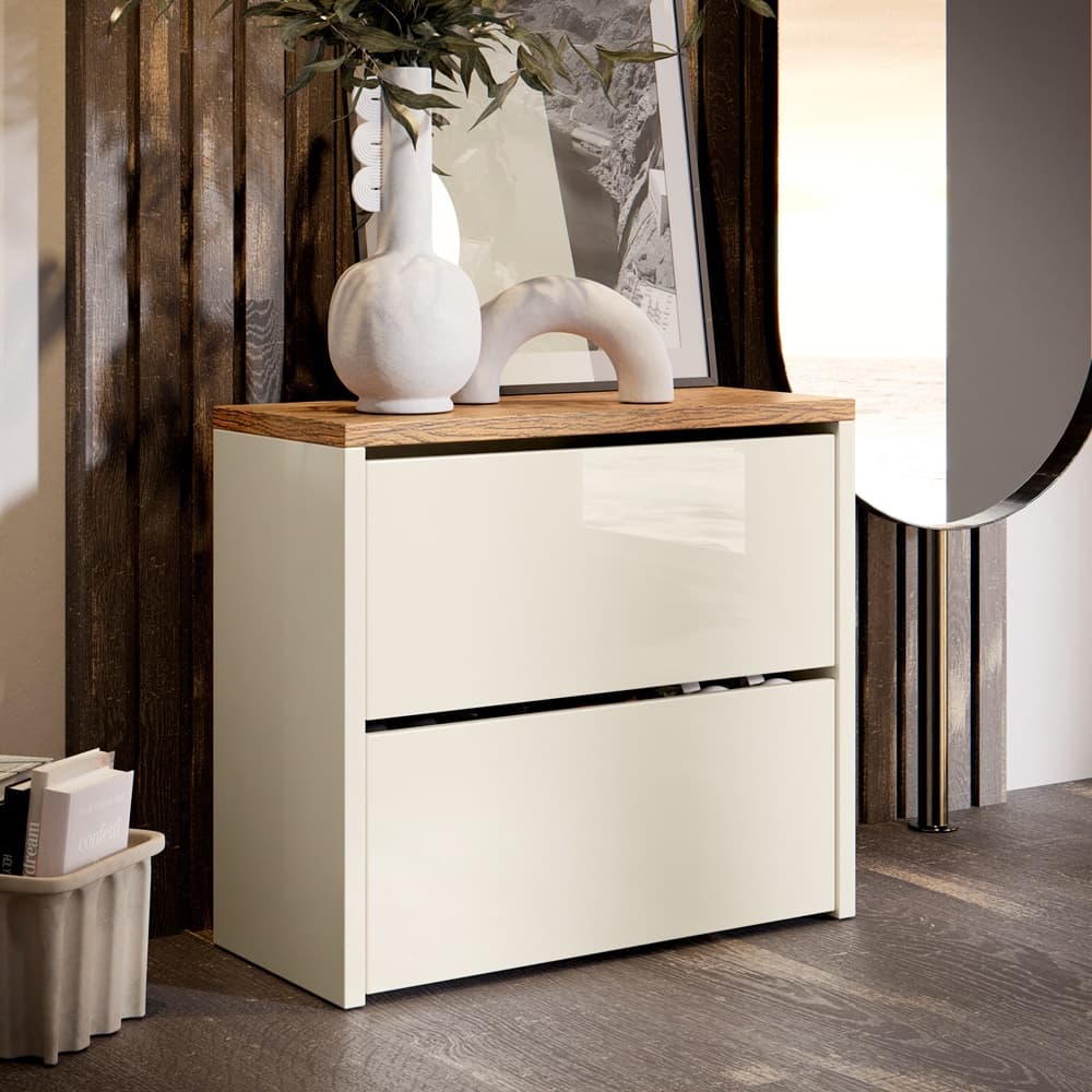 Sapateira Organizadora 2 Portas Basculante varias cores