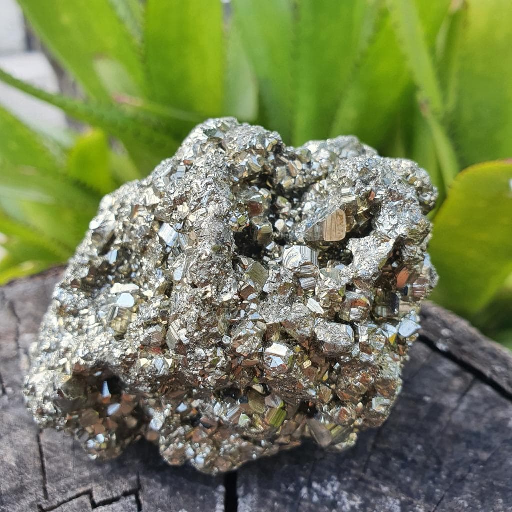 Pedra Pirita - Pedra do Dinheiro