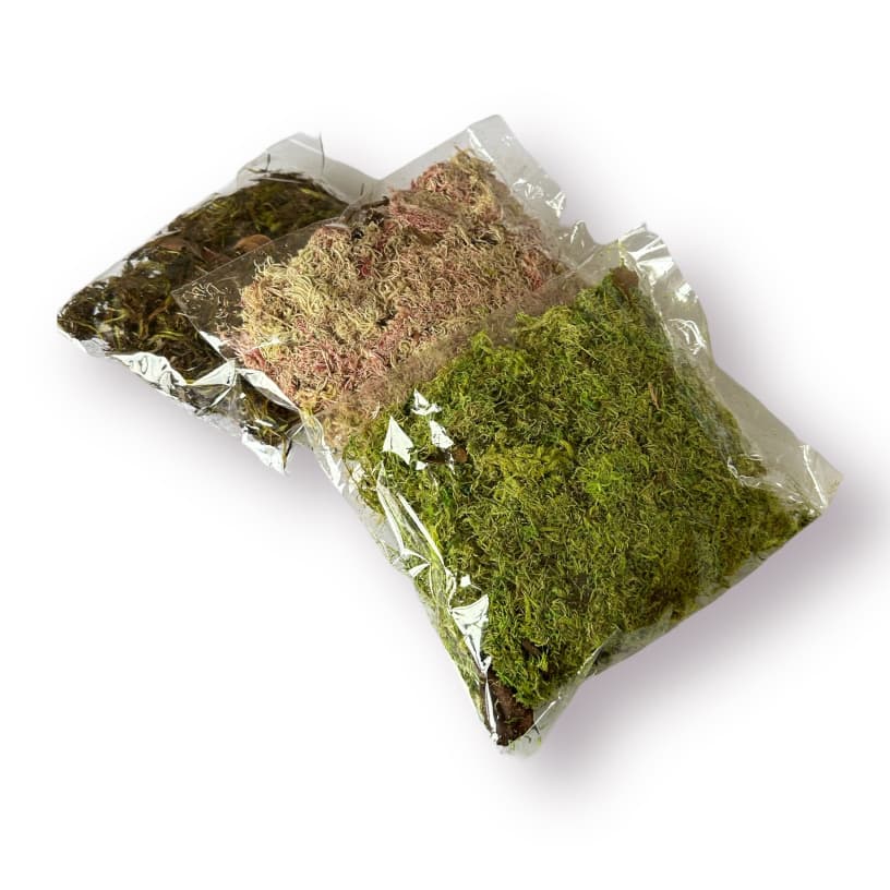Kit com 5 Pacotes de Musgo para Artesanato - Cada Pacotinho com 20g