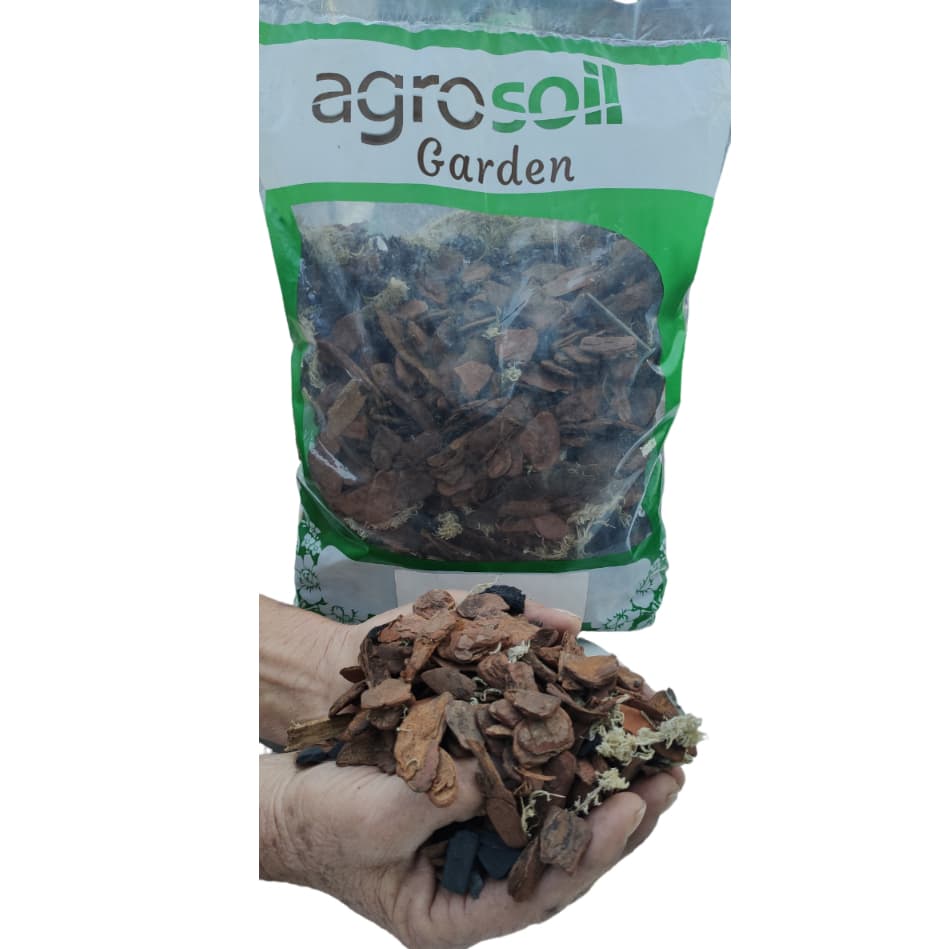 3 Litros Substrato Completo para Orquídeas Musgo Casca de Pinus Carvão Triturado