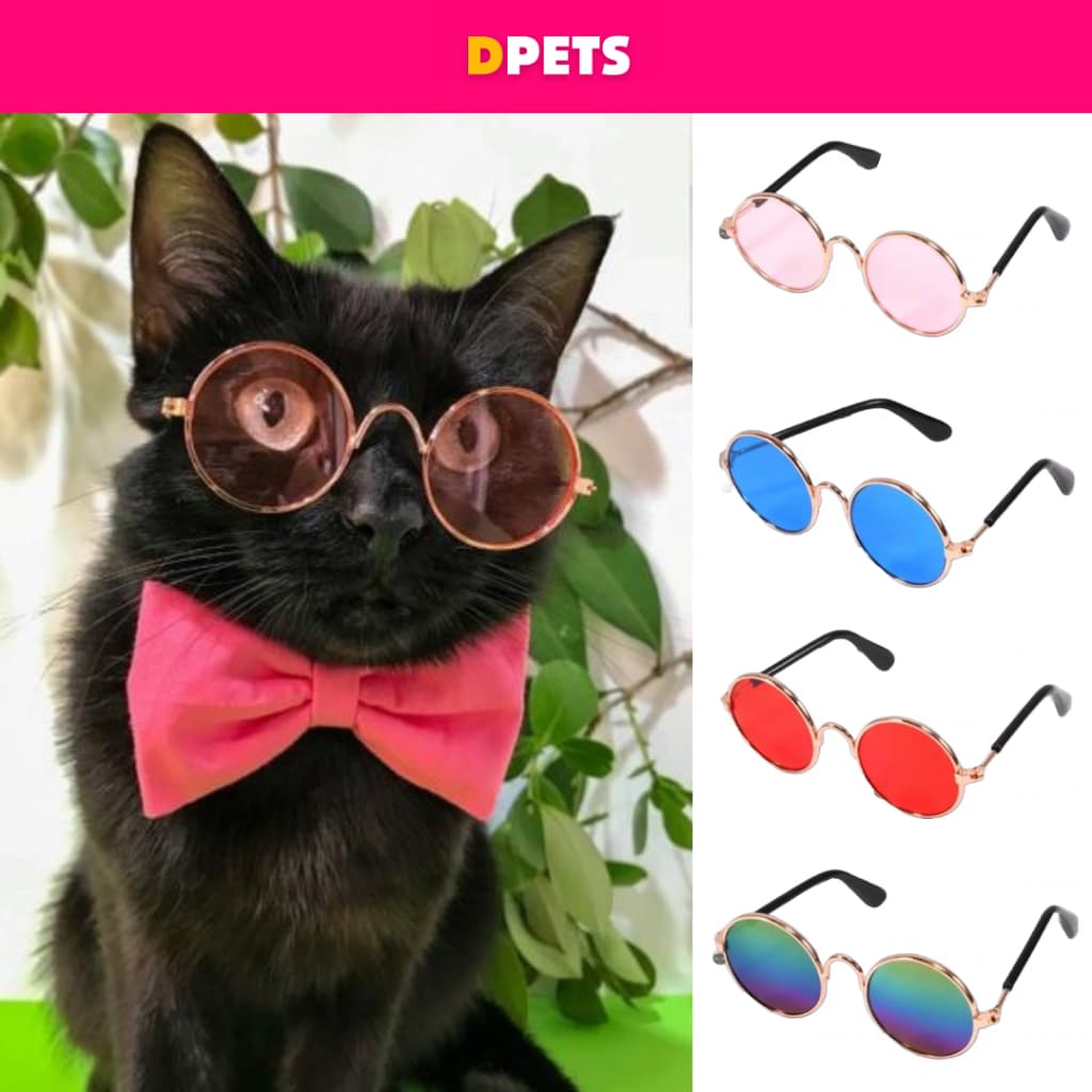 Óculos de Pet (Para Cães e Gatos)