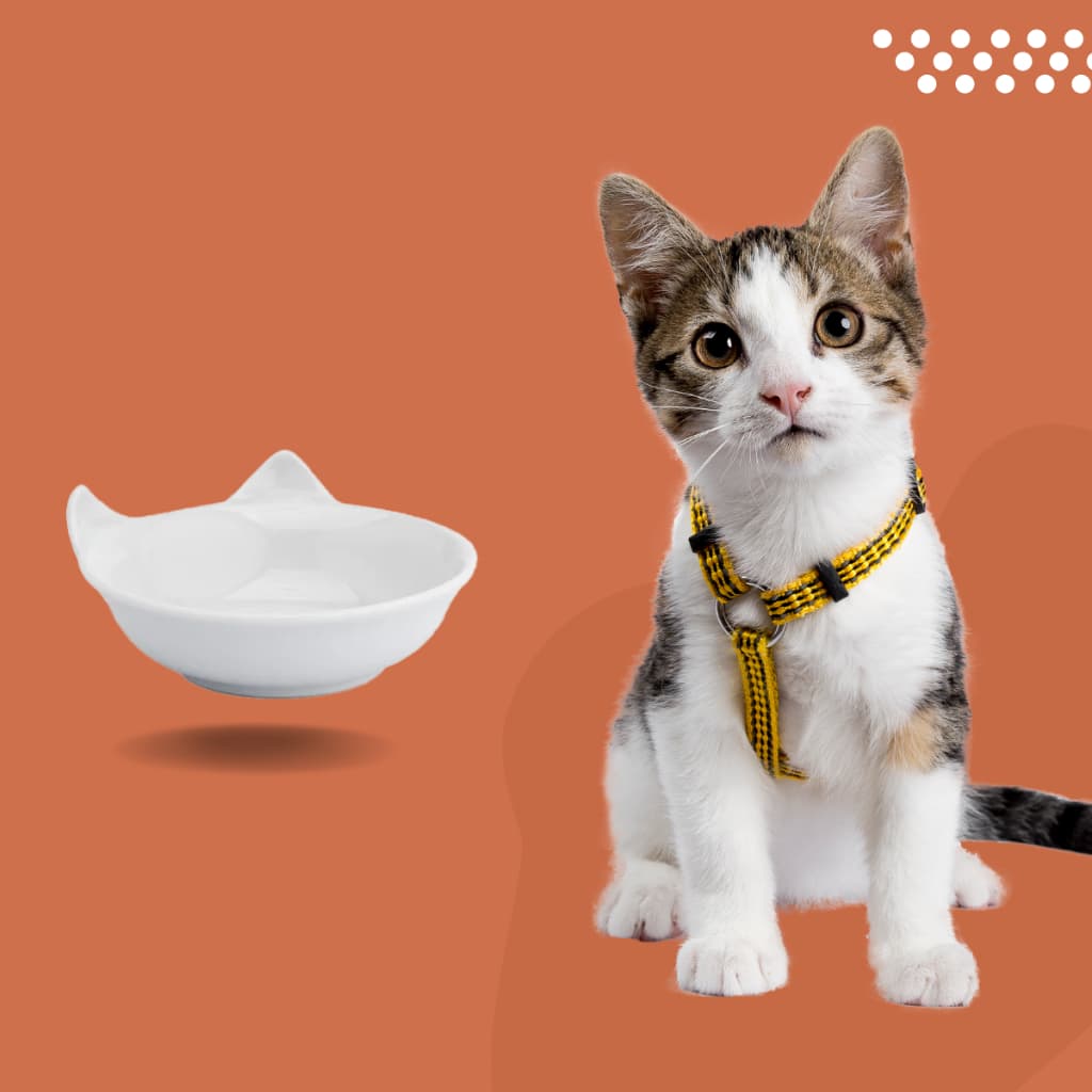 Tigela Prato P/ Gatos Pet Comedouro Porcelana Gato Promoção