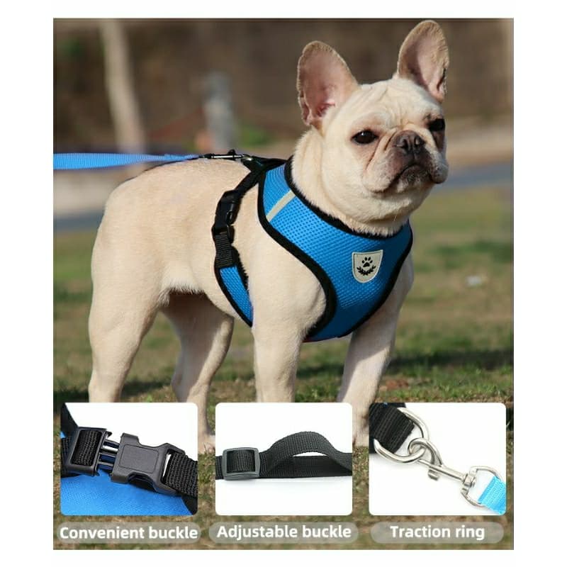 Peitoral Com Guia para Cachorro Coleira Caes Gatos Coelhos Regulavel Super Confortavel Ajustavel