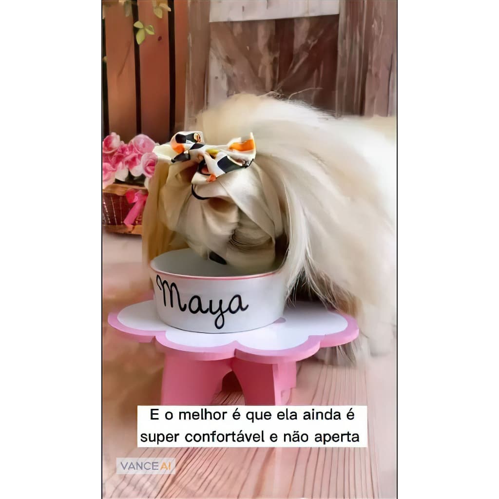 Faixa de Alimentação Pet. Faixa pet. laço pet. acessorio pet.