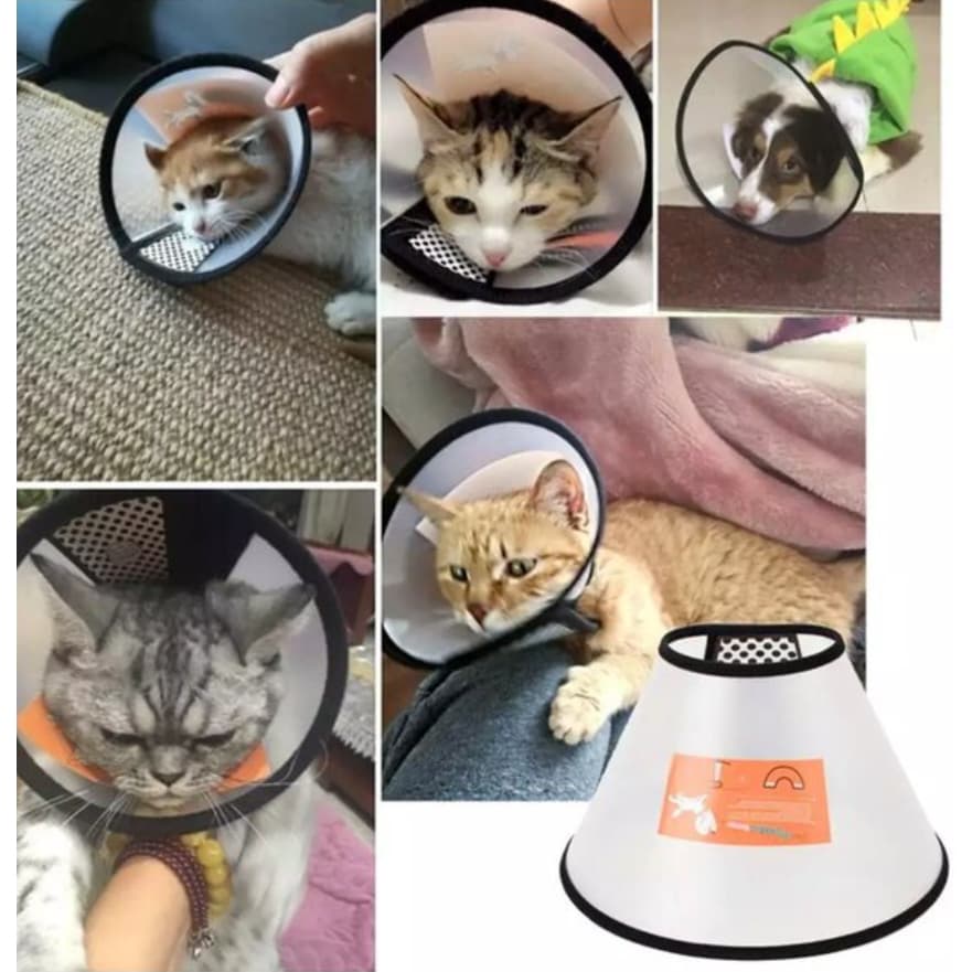 Colar Elizabetano Pós Cirúrgico Pet Cachorro e Gato Proteção Para Evitar Mordida E Lamber Feridas