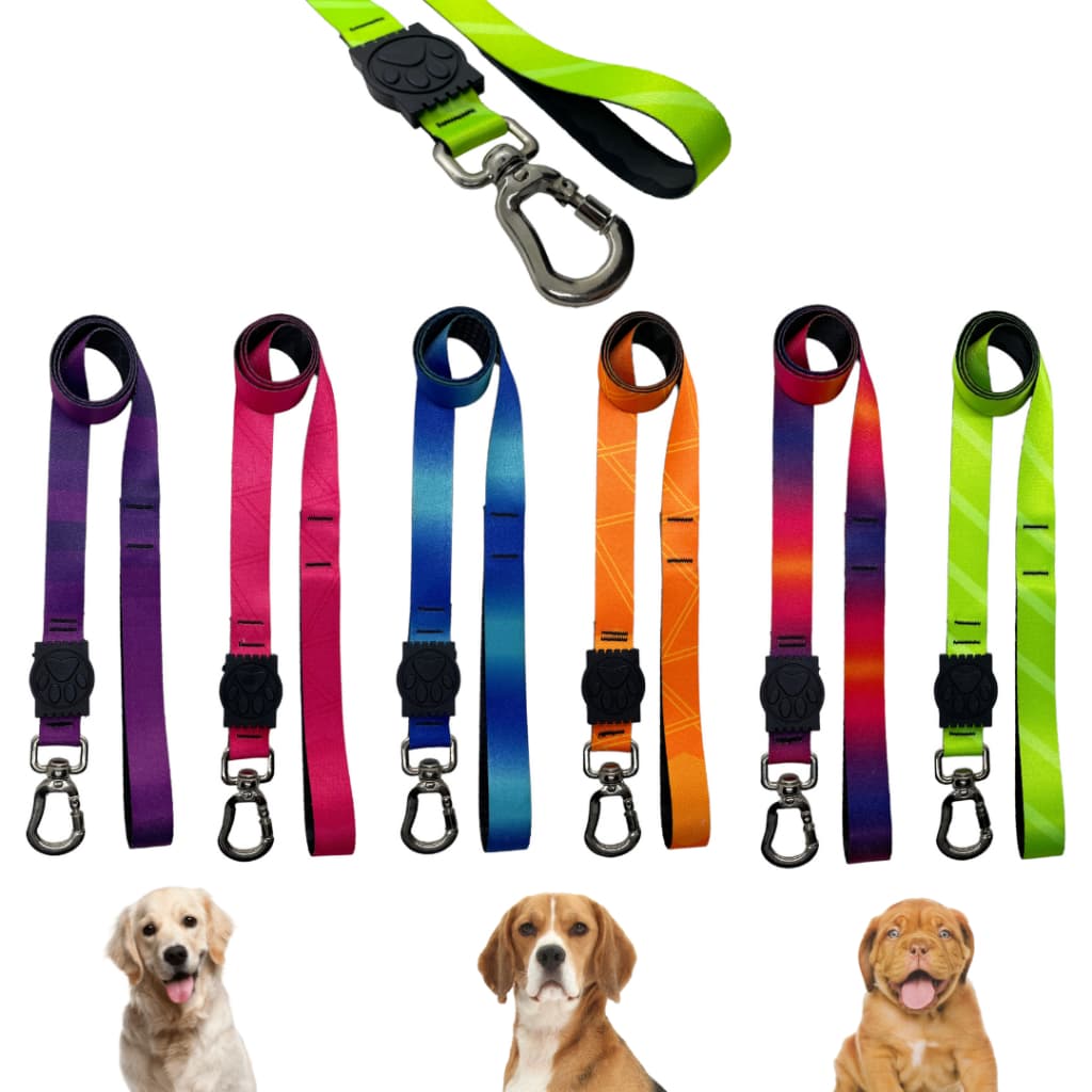 Guia coleira para cães passeio caminhada pet peitoral reforçada