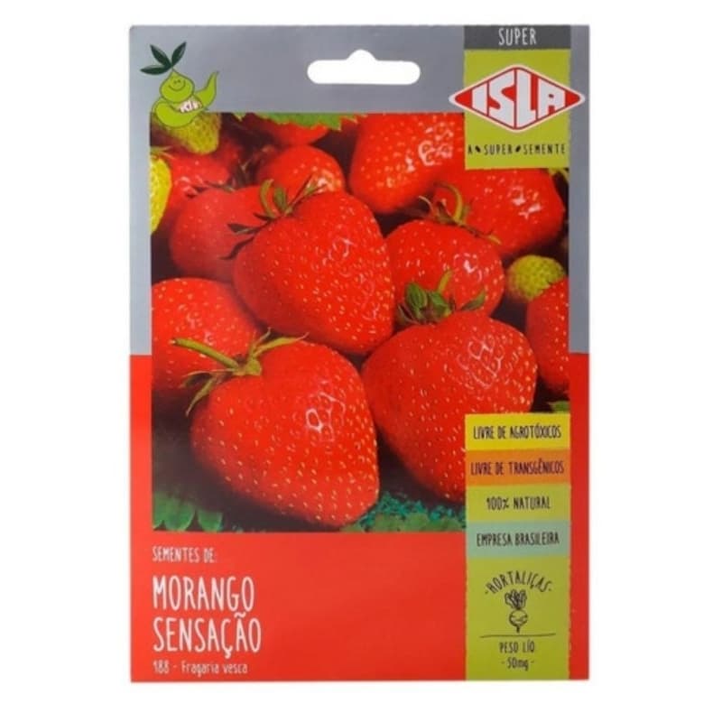 Semente De Morango Sensação Super Doce  Isla 184 Sementes