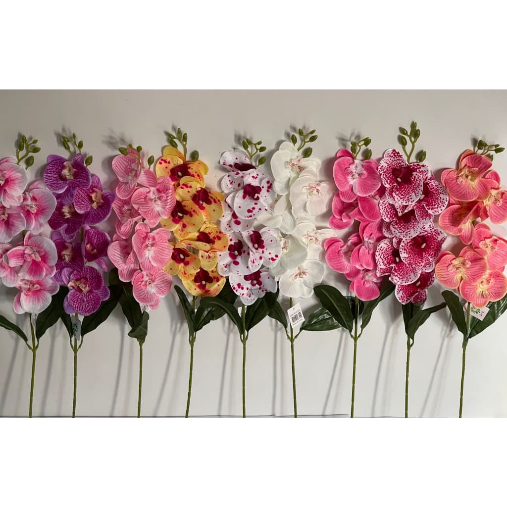 Orquídea 1 Haste com 6 Flores e 2 Folhas (cc344)