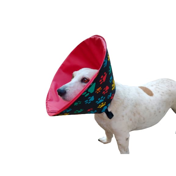 Colar Elizabetano Em Tecido Cães- Porte Médio/Grande