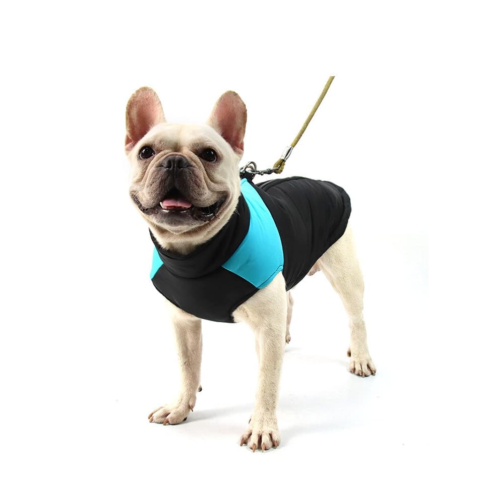 Produtos para PET Jaqueta impermeável para cães