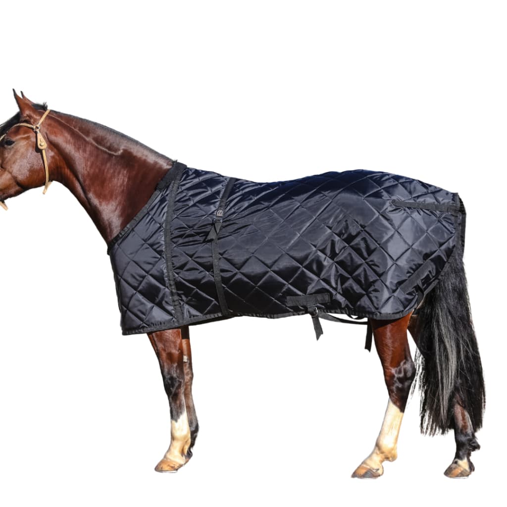 Capa de Inverno Preta Premium para Cavalos São Pedro