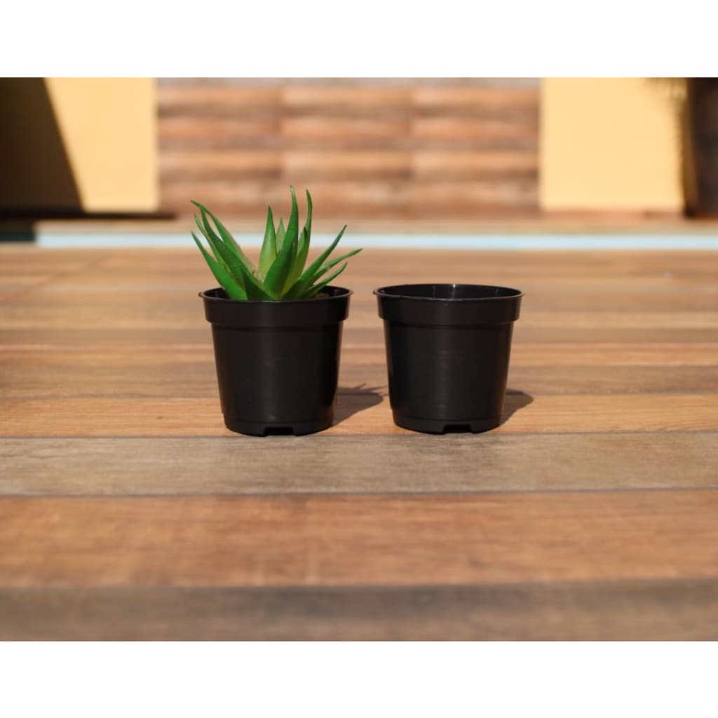 Vasinho Preto para Mini Plantas suculentas e cactos