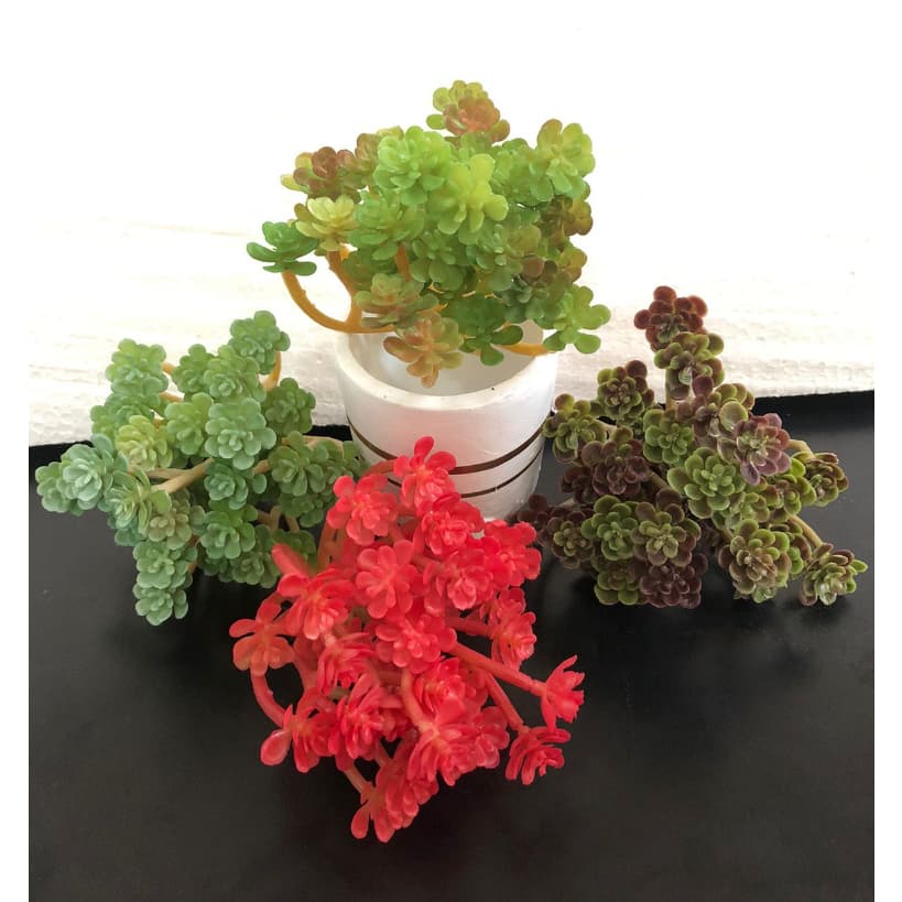 Suculenta artificial decorativa - 14cm -FR-257