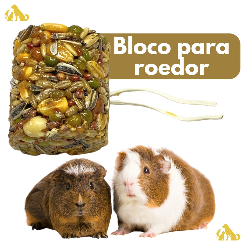Hamster Kit Alimento 6 unid. Petisco Roedor - Roedores