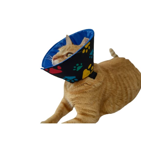 Colar Elizabetano em Tecido Para Gatos- Tamanhos Diversos
