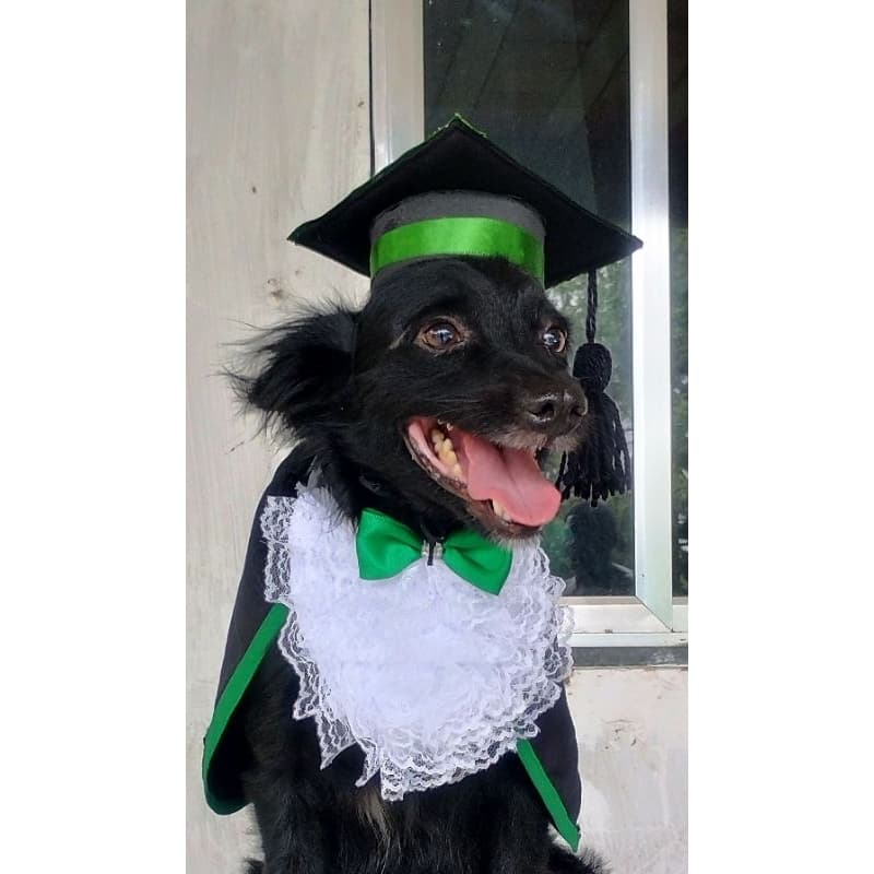 beca, PEt, Jabo , capelo, , formatura, todas as,cores