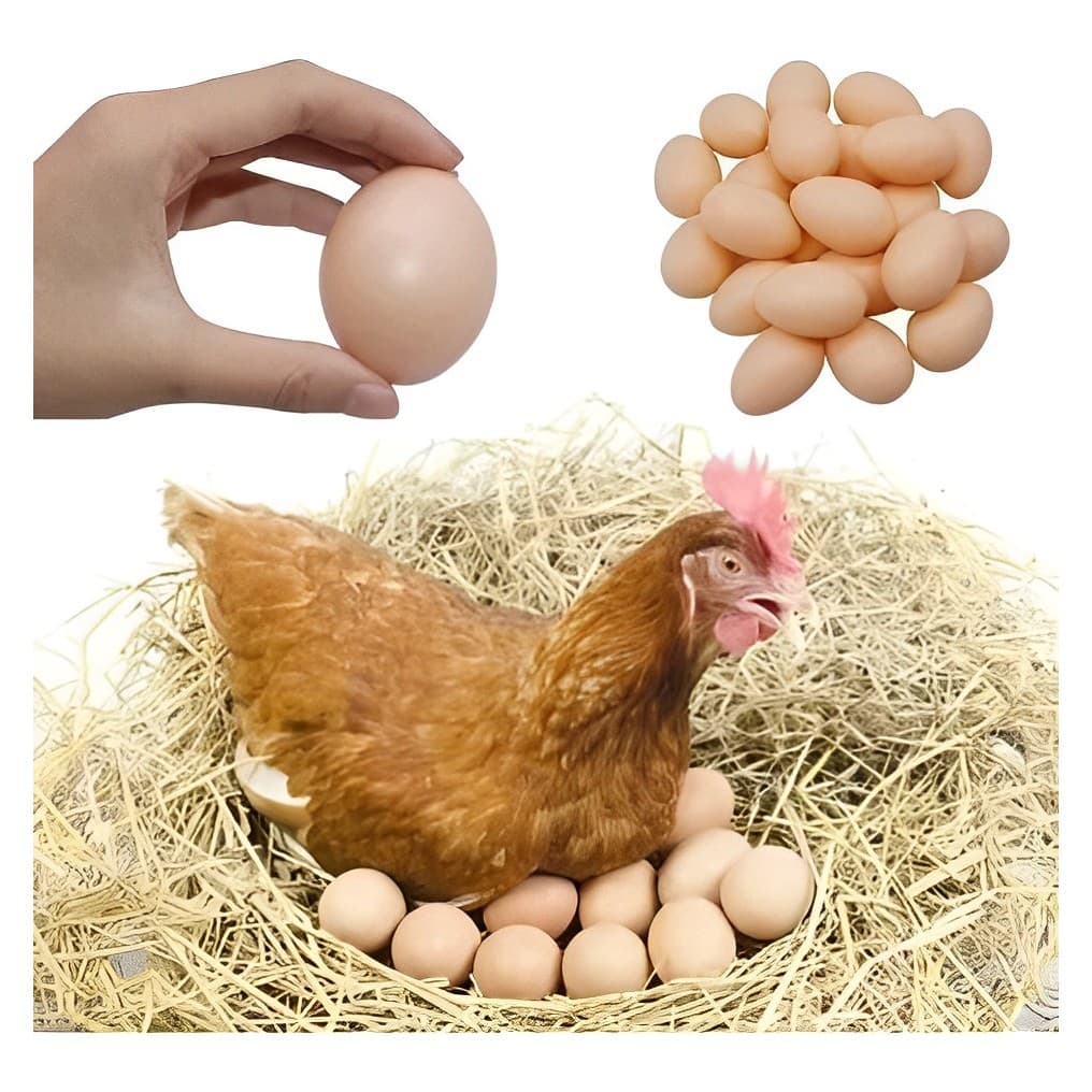 Kit 12 Ovos Falsos De Plástico Para Indez Galinha Caipira