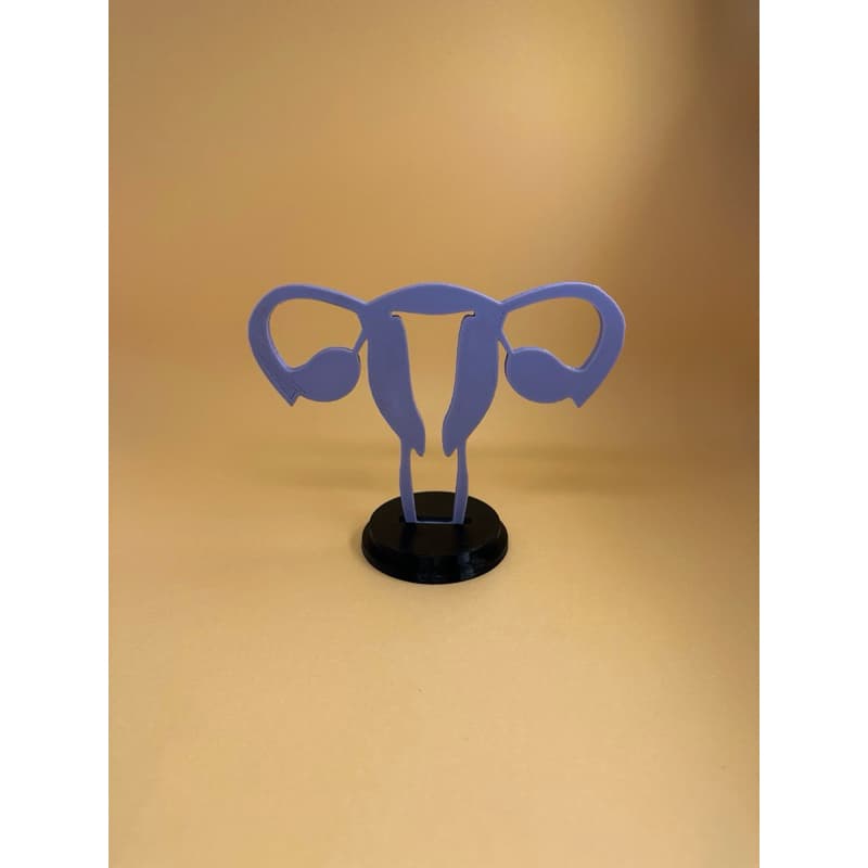 [O MAIS VENDIDO+ENVIO RÁPIDO!] Estatueta / Protótipo Útero - 3D