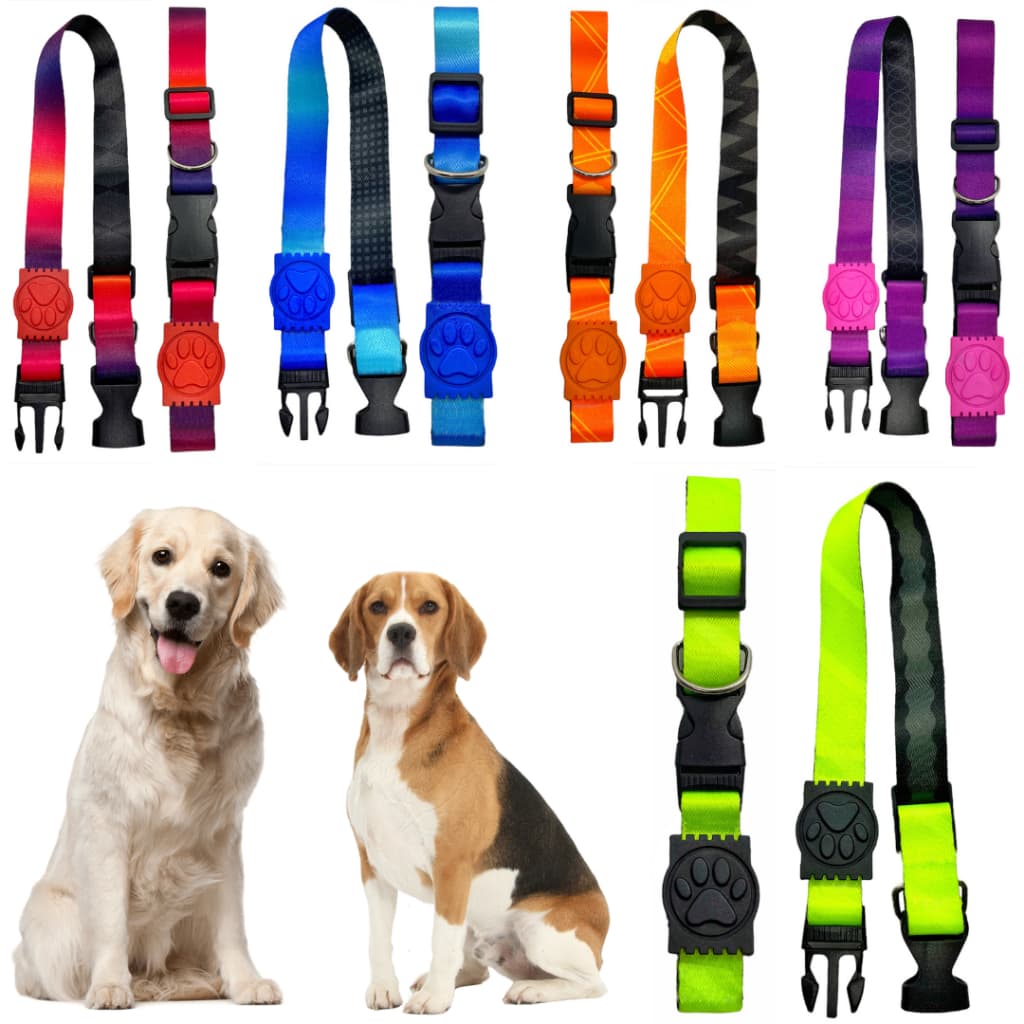 Coleira para cachorro com regulagem de tamanho modelo premium