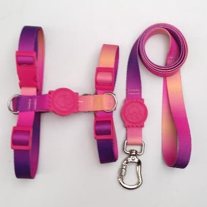 Peitoral H Anti Puxão - Roxo com Laranja