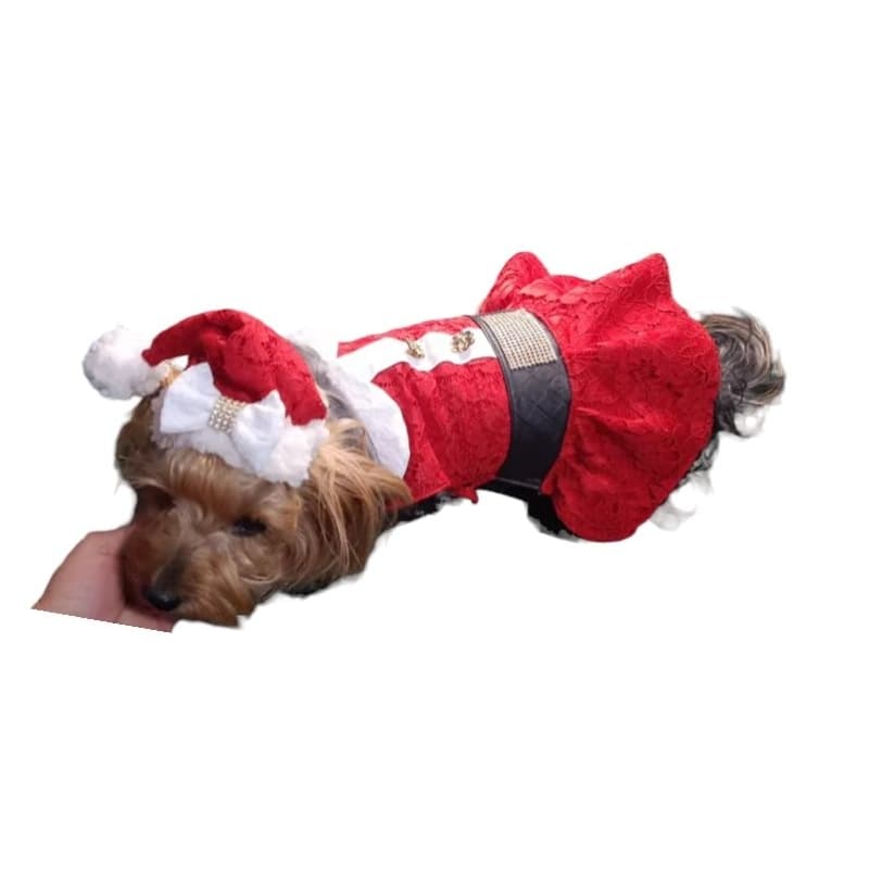 Gorro Natalino Pet Macho e fêmeas