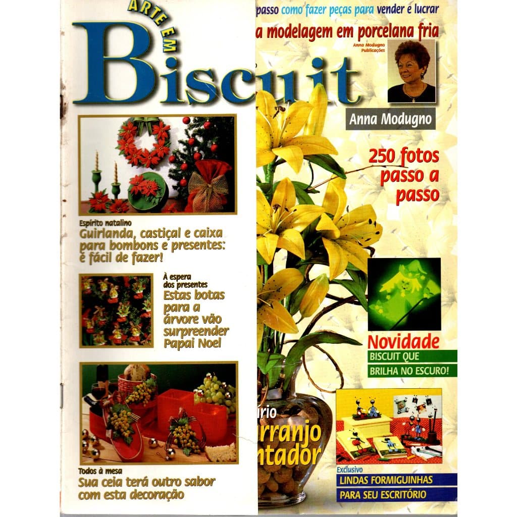Revista Arte Em Biscuit, Ano 4, Nº 19