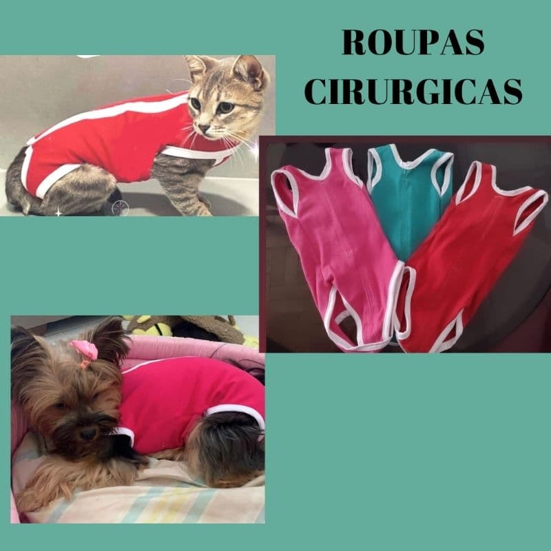 Roupa Pós-cirúrgica Gatos e Cão,  Gatos e cachorros