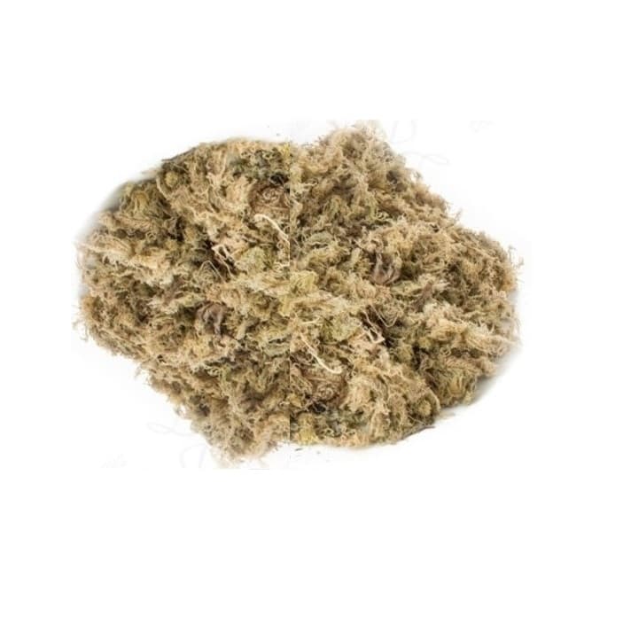 10 Litros Musgo Substrato Orgânico Orquídeas