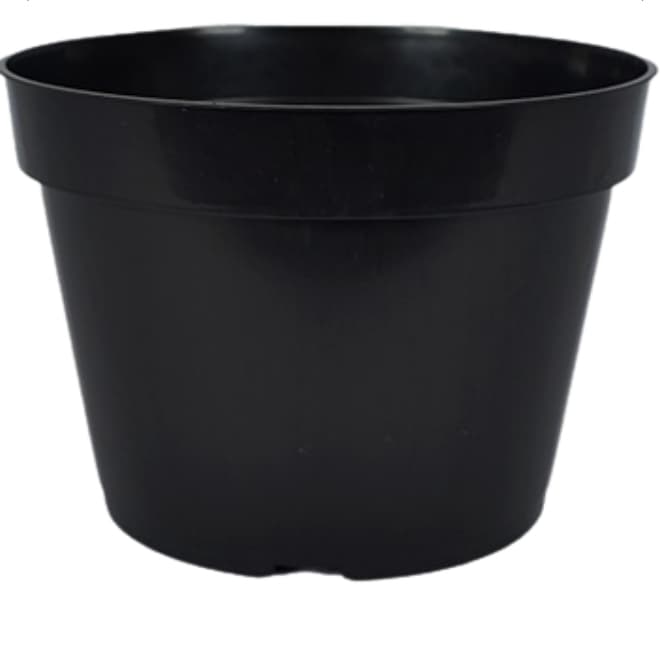 Kit 10 a 100 Vasos Pote 11 Plástico Preto (430ml) - Para Mudas, Rosa do Deserto, Plantas em Geral