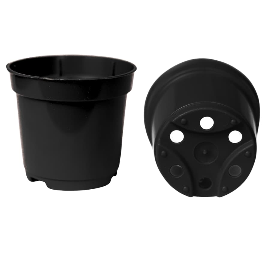 Kit 100 vaso pote 9 preto para cactos e suculentas