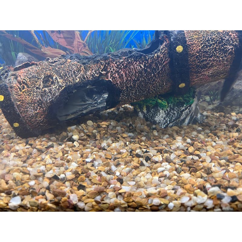 Cascalho De Rio Para Aquário Natural - 6 a 9 mm - LOJA BONSAI CAT