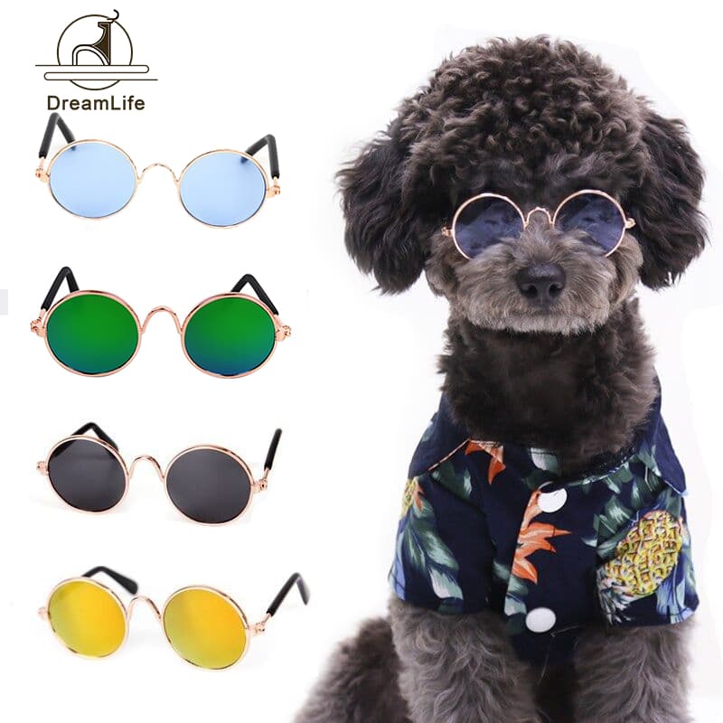 Óculos para Pet Animal de Estimação gato cachorro coelho de mini e pequeno porte