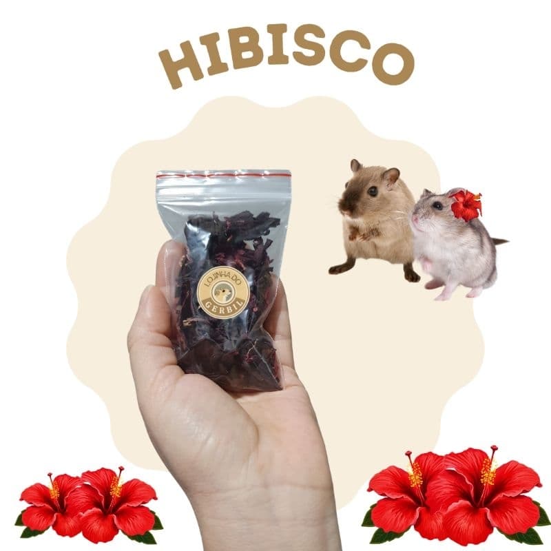 Flor de Hibisco desidratada para roedores (hamster,gerbil...)