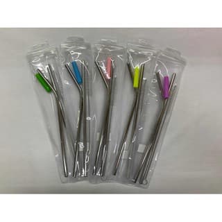 2 Canudos Aço Inox + Ponteira + 1 Escova + capa